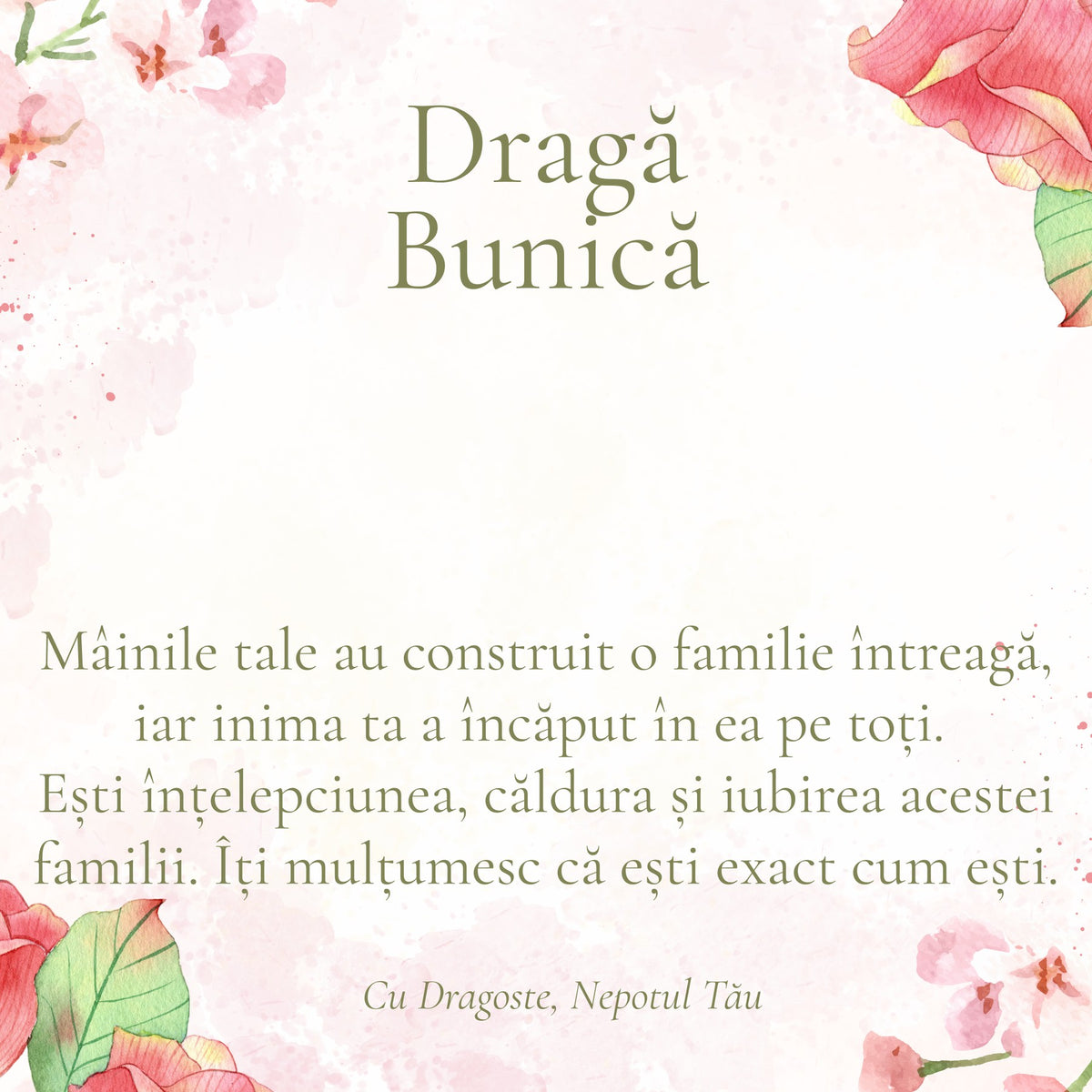 Cardul cu mesaj pentru Bunica Mea, din partea Nepotului (pătrat)